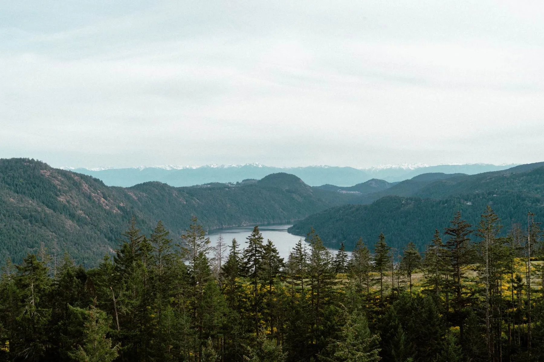 Forested Pacific Northwest hills and water